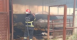 Eyyübiye'de çiftlik yangını: İtfaiye müdahale etti