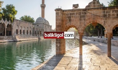 Dayanışma Bir Toplumun Temel Taşıdır