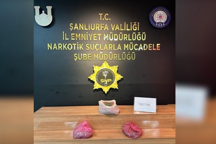 Şanlıurfa’da Skunk Ele Geçirildi: 2 Tutuklama