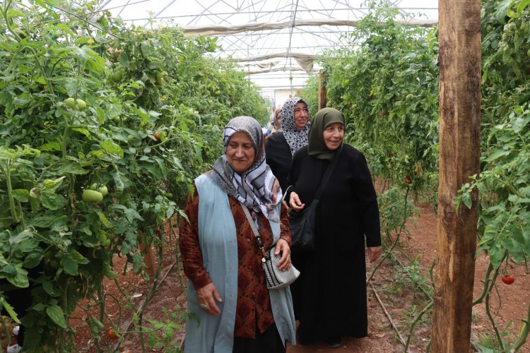 Urfa’daki Kadınlara Süs Bitkisi Yetiştiriciliği Eğitimi Verildi