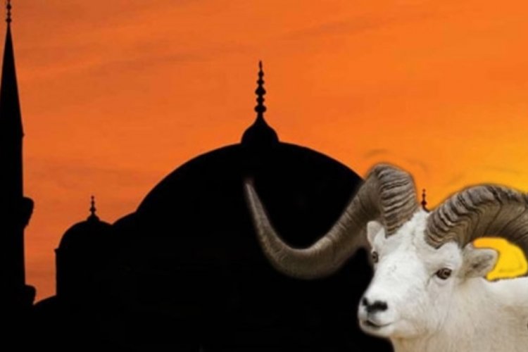 Mehmet İmre Yazdı: Kurban İbadetimiz Makbul olsun