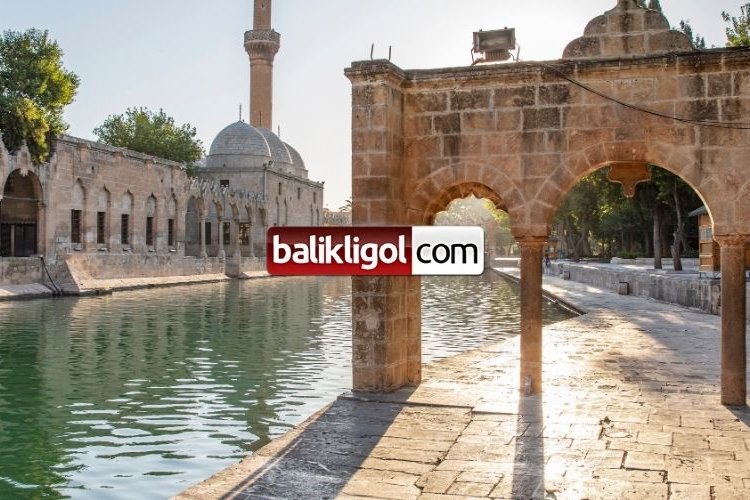 İNSANIN YARATILIŞ GAYESİ