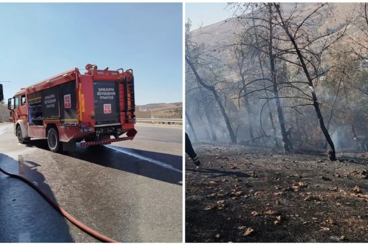 Direkli Mahallesi’ndeki Orman Yangını Söndürüldü