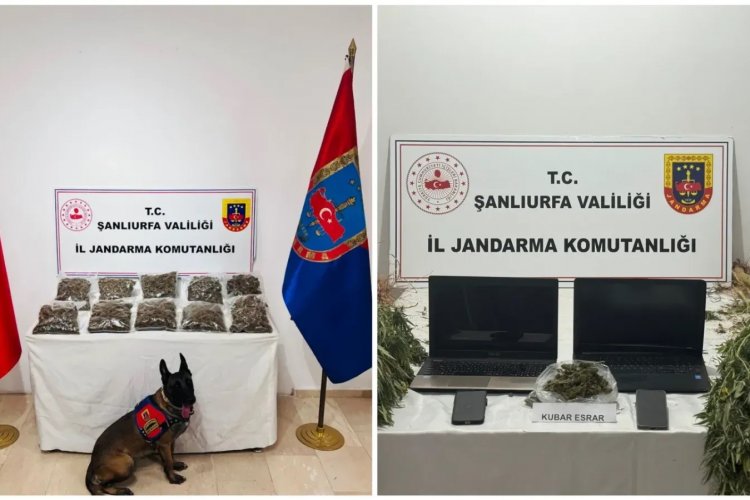 Jandarmadan Narkotik ve Dolandırıcılık Operasyonu