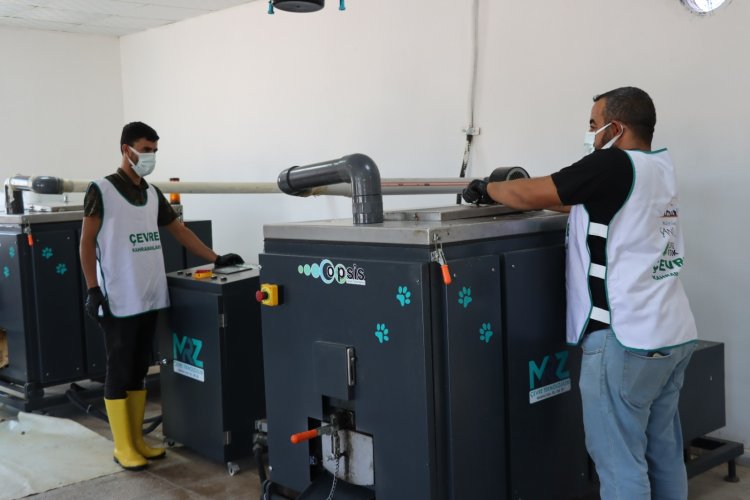 ŞANLIURFA’DA ORGANİK ATIKLAR DÖNÜŞTÜRÜLEREK BARINAKLARDAKİ CAN DOSTLARIMIZA UMUT OLUYOR