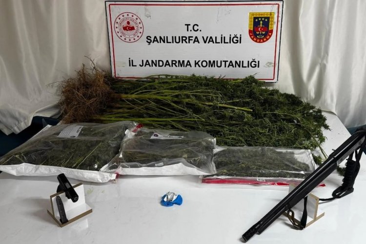 Şanlıurfa'da uyuşturucuya geçit verilmiyor: 4 şüpheli yakalandı
