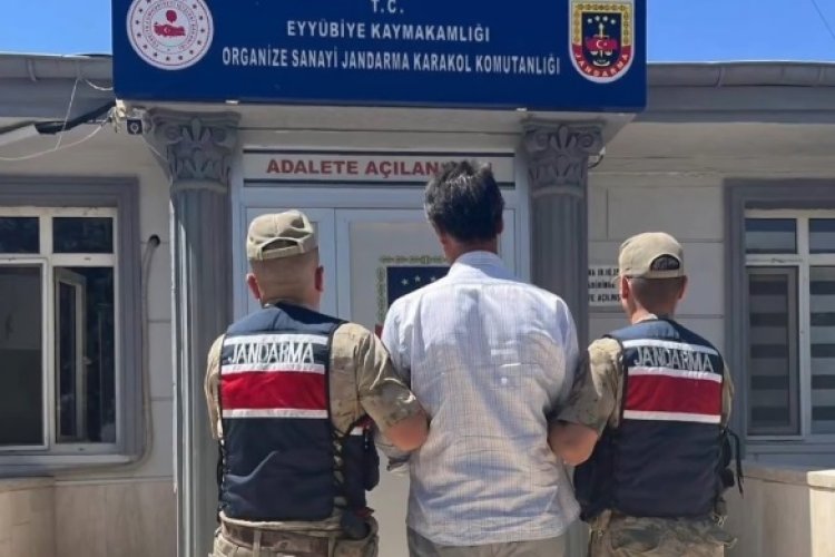 Şanlıurfa Dahil 31 İlde FETÖ Operasyonu: 50 kişi tutuklandı