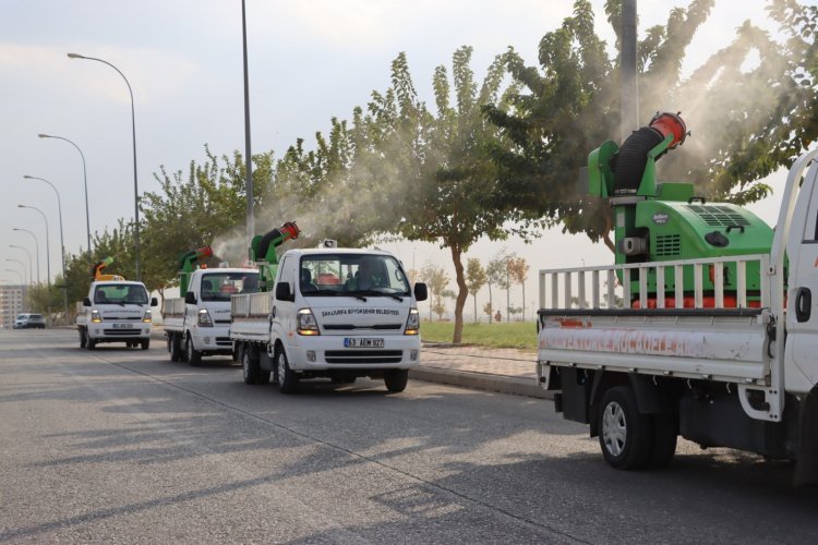 ŞANLIURFA BÜYÜKŞEHİR BELEDİYESİ VEKTÖRLE MÜCADELEYE  DEVAM EDİYOR