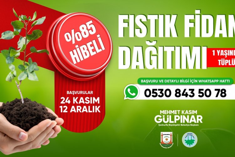ŞANLIURFA’DA ÇİFTÇİYE %85 HİBELİ FISTIK FİDANI DESTEĞİ BAŞLADI