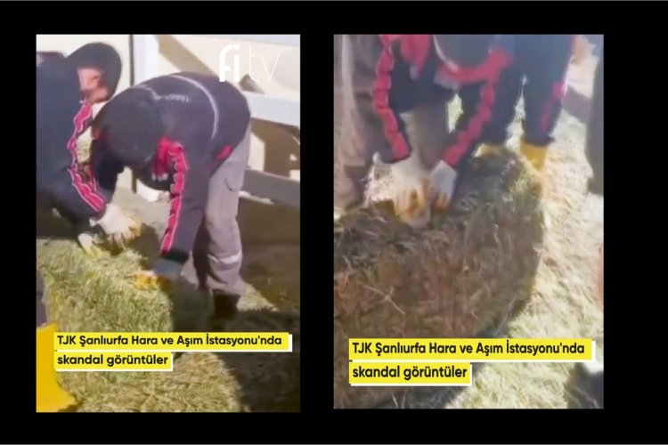 Şanlıurfa’da Skandal İddia: Harada Yonca Balyalarına Taş Konuldu