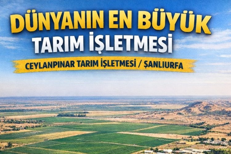 Şanlıurfa’da 67 Ülkeden Daha Büyük Bir Tarım Üssü!