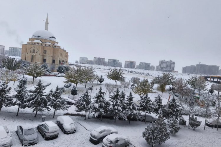 Şanlıurfa Kışa Teslim: Hayatı Felç Eden Kar Yağışı, Yolları Kapattı, Ağaçları Devirdi!
