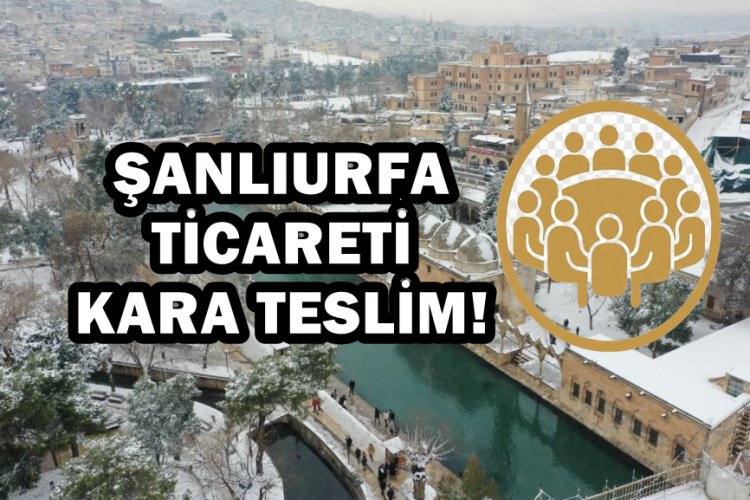 ŞANLIURFA’DAN ACİL ÇAĞRI: ŞÛRA, AĞIR KAR HASARI NEDENİYLE “AFET BÖLGESİ” İLANINI TALEP ETTİ
