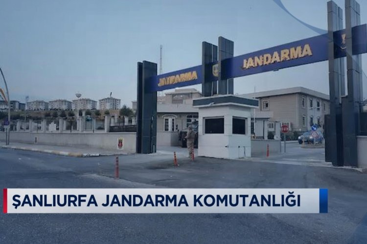 Şanlıurfa'da Dev Tarihi Eser Operasyonu: 2 Bin 600’den Fazla Sikke Ele Geçirildi!