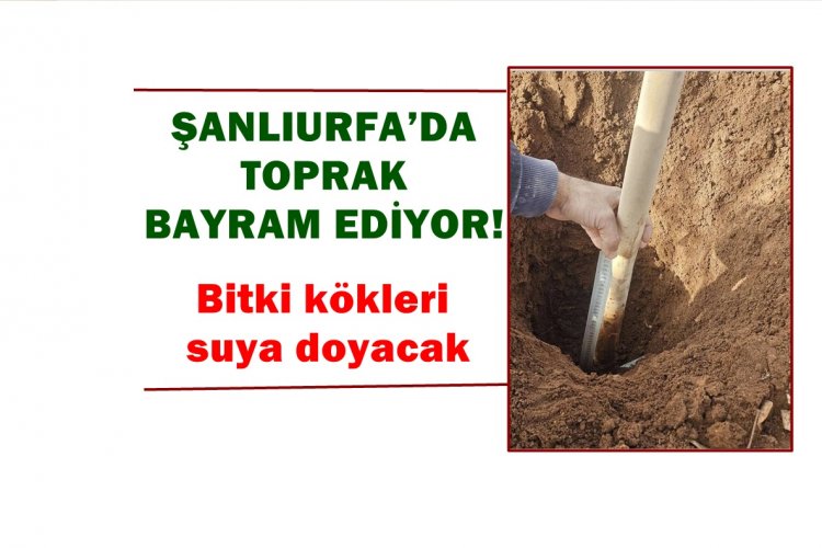 Şanlıurfa’da Bereket Yılı: Yağışlar Toprağın Kalbine İndi!