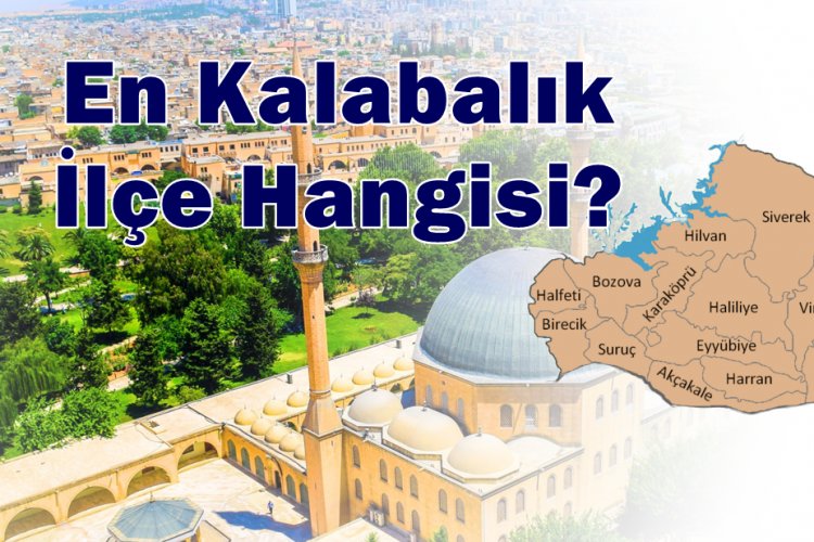 Şanlıurfa Yine Zirvede: O Ünvanını Kimseye Kaptırmadı!