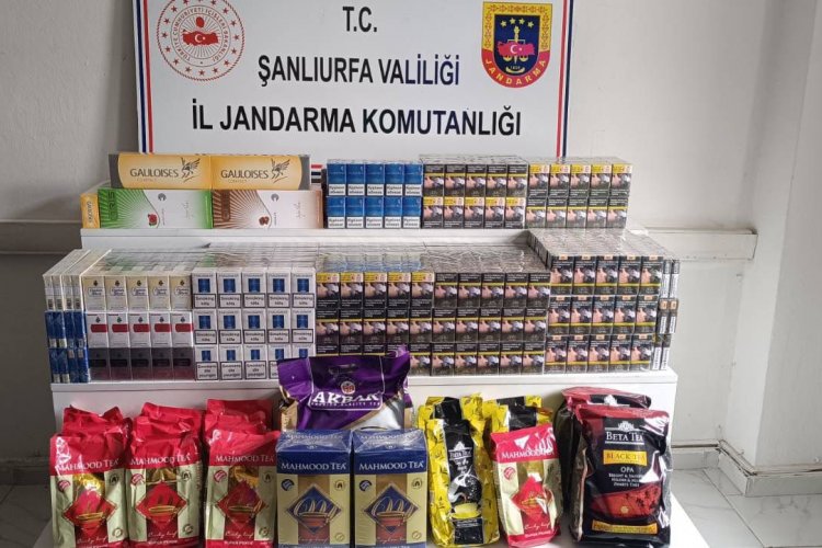 Şanlıurfa’da Kaçakçılığa Jandarma Darbesi: 70 Gözaltı!