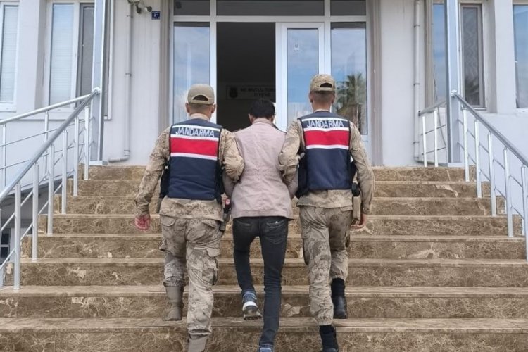 Harran'da Hırsızlık Şüphelisi Jandarmanın Takibinden Kaçamadı!