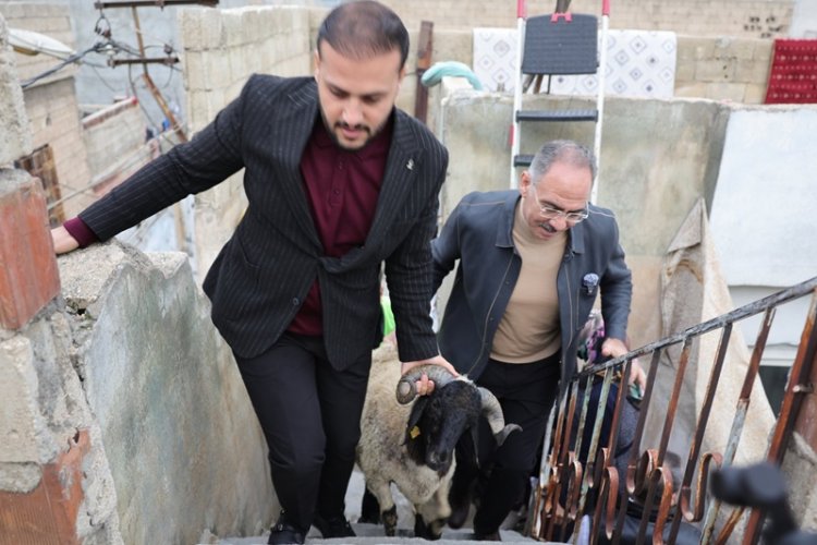 Kapıya Kadar Getirildi: Urfa'da 400 Aileye Kurbanlık Koç Sürprizi!
