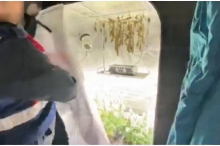 JANDARMADAN ZEHİR TACİRLERİNE DEV OPERASYON: 346 GÖZALTI!