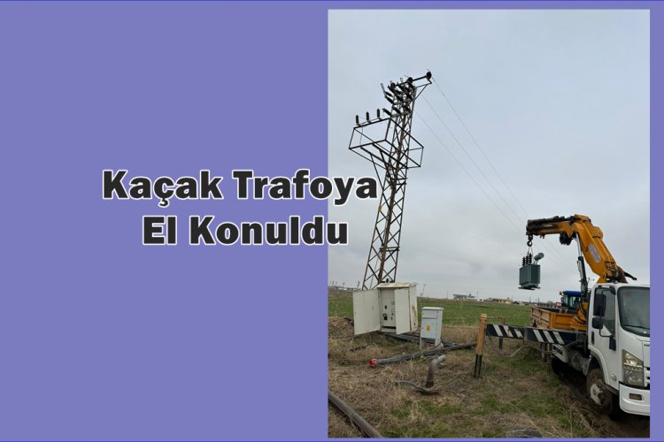 Şanlıurfa'da Kaçak Elektrik Operasyonu: 50 Dönümlük Tarladaki Kayıt Dışı Trafo Söküldü