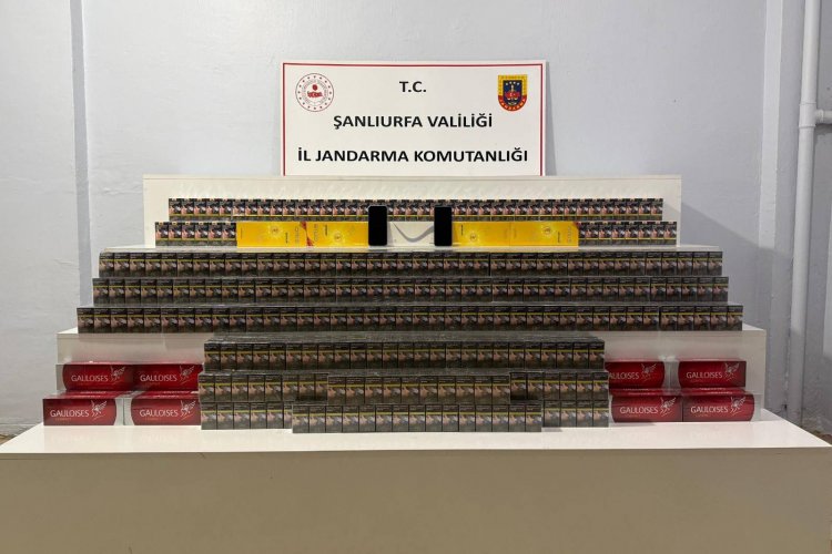 Viranşehir'de Kaçakçılığa Jandarma Darbesi: 52 Gözaltı!