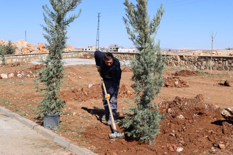 Halfeti’de Yeşil Seferberliği: Yukarıgöklü Kent Parkı Yenileniyor