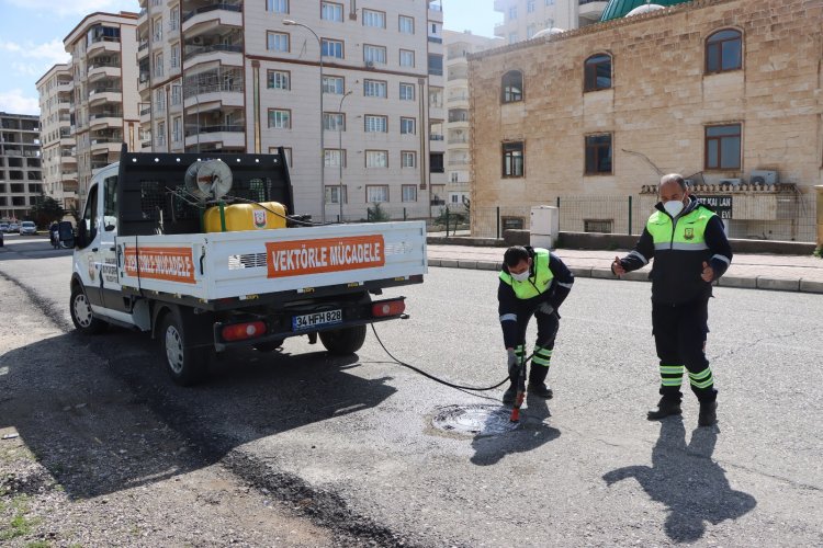 Şanlıurfa'da Haşereye Geçit Yok: Büyükşehir'den 7/24 Kesintisiz İlaçlama!