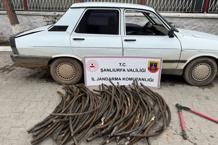 Ceylanpınar TİGEM’de Büyük Kablo Hırsızlığı: 1 Milyon TL'nin Üzerinde Zarar!