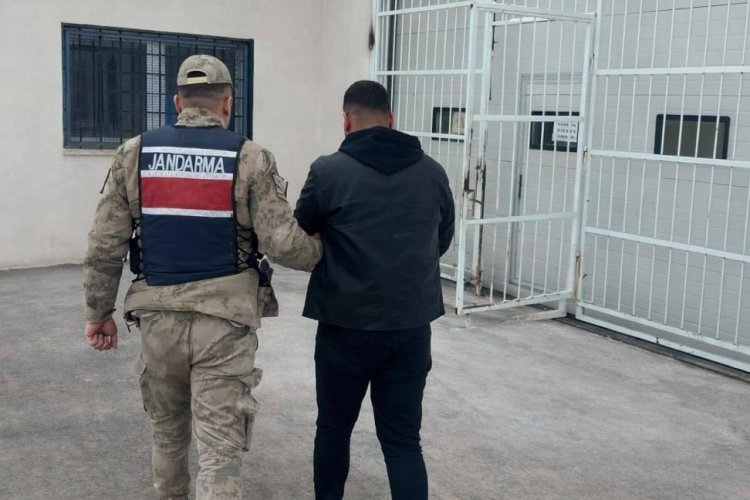 Eyyübiye'de Jandarma Operasyonu: Cinayet Firarisi Yakalandı!