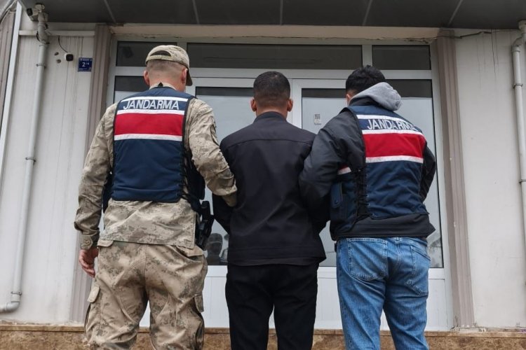 Harran'da Jandarma Operasyonu: Firari Dolandırıcı Yakalandı!