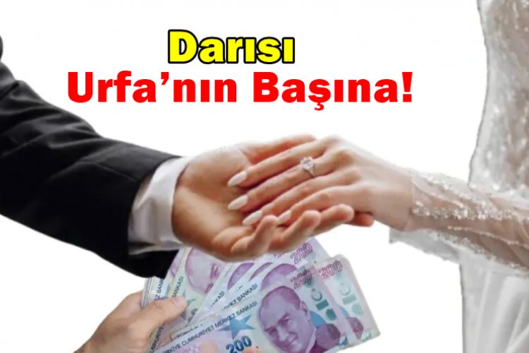 Şırnak Yaptı, Urfa Neden Bekliyor? Goyan Aşireti’nden "Düğün Devrimi" Kararı!