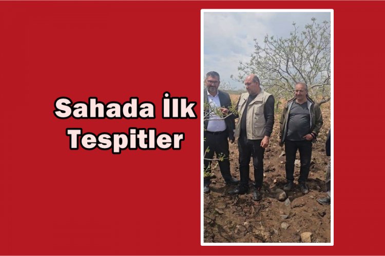 Dolu Felaketi Fıstık Bahçelerini Vurdu, Faruk Akbaş’tan "acil destek" çağrısı geldi