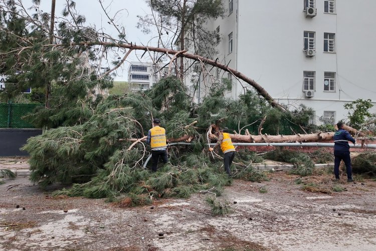 Büyükşehir’den Birecik’e 256 Personel ve 114 Araçla Afet Çıkarması