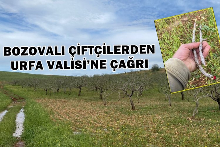 Şanlıurfa Valiliği’ne "Afet Bölgesi" ilan edilmesi çağrısında bulundular