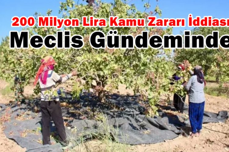 Şanlıurfa TİGEM Fıstık İhalesinde Sahte Evrak İddiası