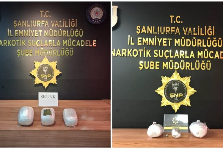 Şanlıurfa’da skunk ele geçirildi