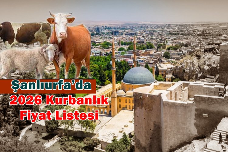 Şanlıurfa’da Kurbanlık Fiyatları Netleşti: Canlı Kilo Birim Fiyatları Açıklandı