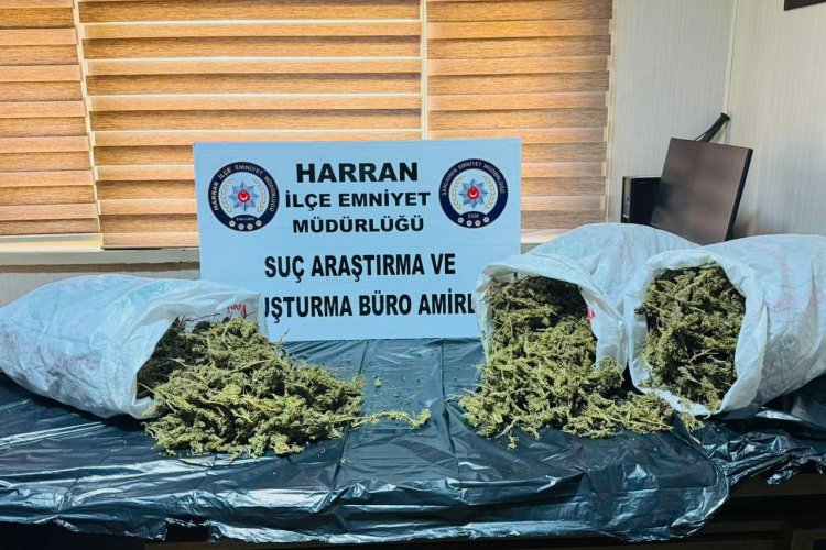 Şanlıurfa'da Zehir Tacirlerine Geçit Yok: 8 Kiloyu Aşkın Esrar Ele Geçirildi!