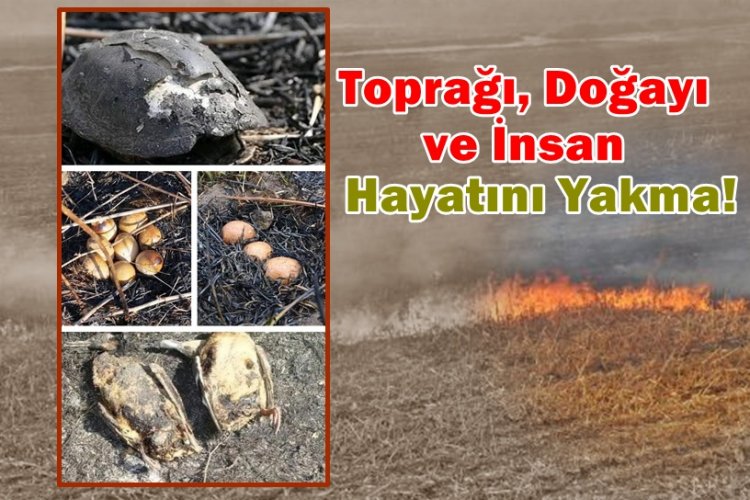 PROF. DR. ÖZTÜRKMEN’DEN ANIZ UYARISI: GELECEĞİMİZİ YAKIYORUZ!