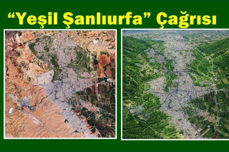 Şanlıurfa’da Tarihi İklim Seferberliği: "Yeşil Şanlıurfa" İle Sıcaklıklar 5 Derece Düşebilir