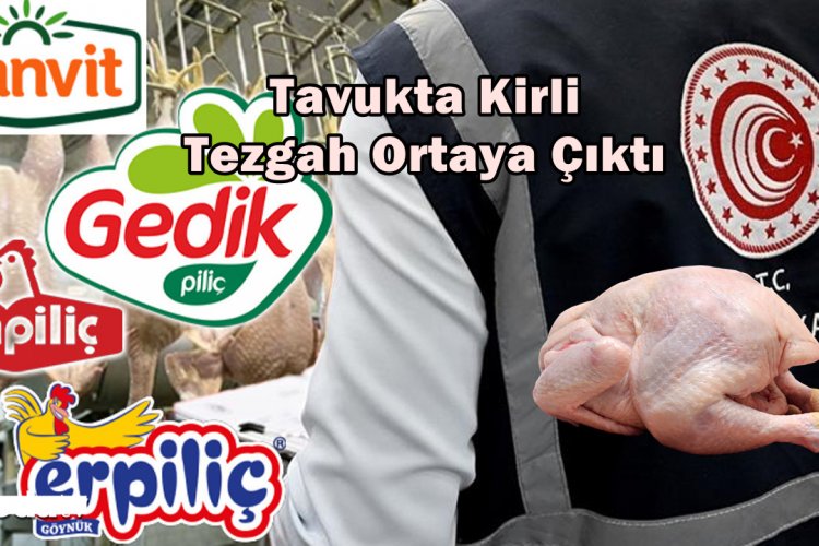 Tavukta Kirli Tezgah Ortaya Çıktı: 13 Büyük Beyaz Et Üreticisine Denetim Kayyumu Atandı