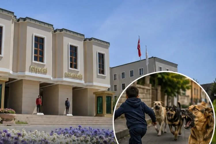 Şanlıurfa’da Hilvan Belediyesi Dahil 3 Belediye Başkanına Soruşturma İzni!