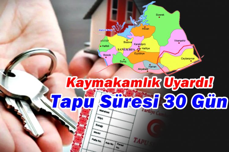 Ceylanpınar’da Tapu Dağıtım ve Satış İşlemleri Devam Ediyor: Vatandaşlara 30 Günlük Süre Uyarısı