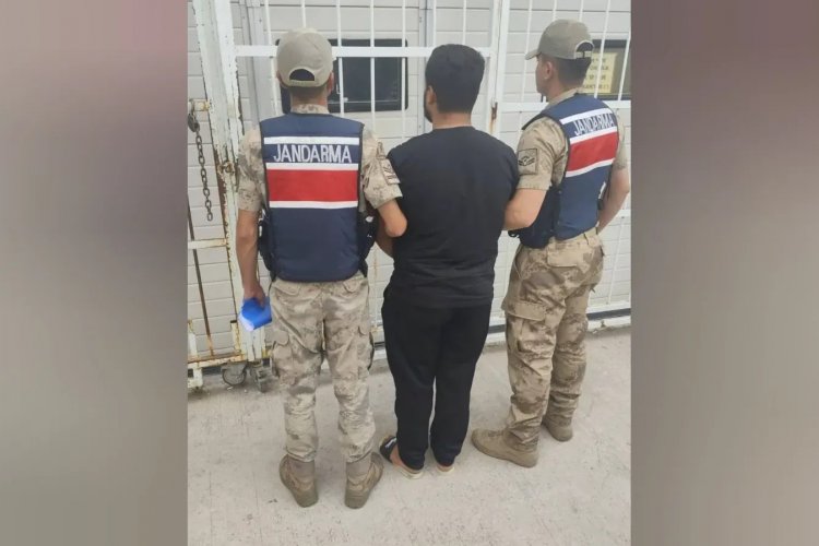 Şanlıurfa'da Hırsızlık Hükümlüsü Jandarma Tarafından Yakalandı