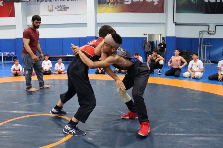 Şanlıurfa'da Çocukların Geleceği Ata Sporu Güreşle Şekilleniyor