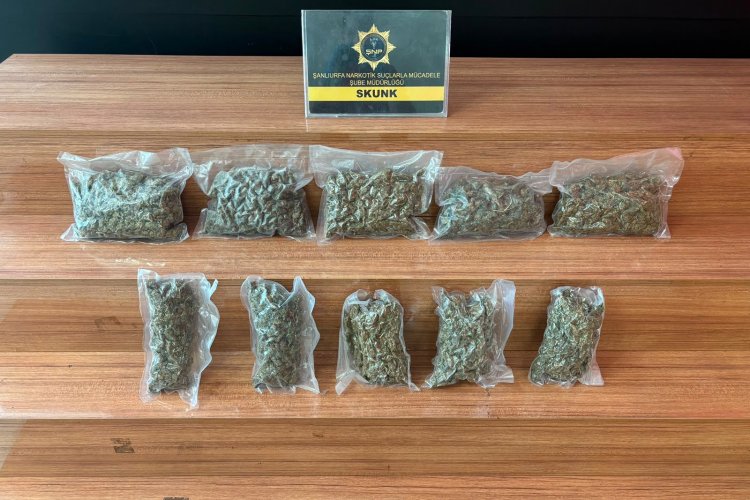 Şanlıurfa’da Uyuşturucu Operasyonu: 2 Kilo 600 Gram Skunk Ele Geçirildi