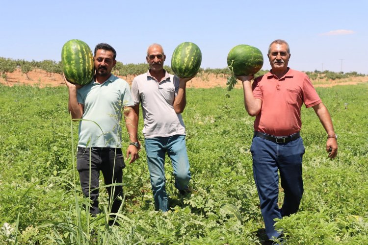Kar Suyunun Lezzet Mirası