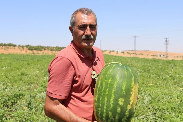 Kar Suyunun Lezzet Mirası