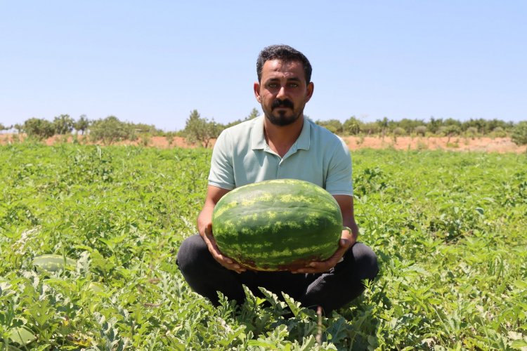 Kar Suyunun Lezzet Mirası